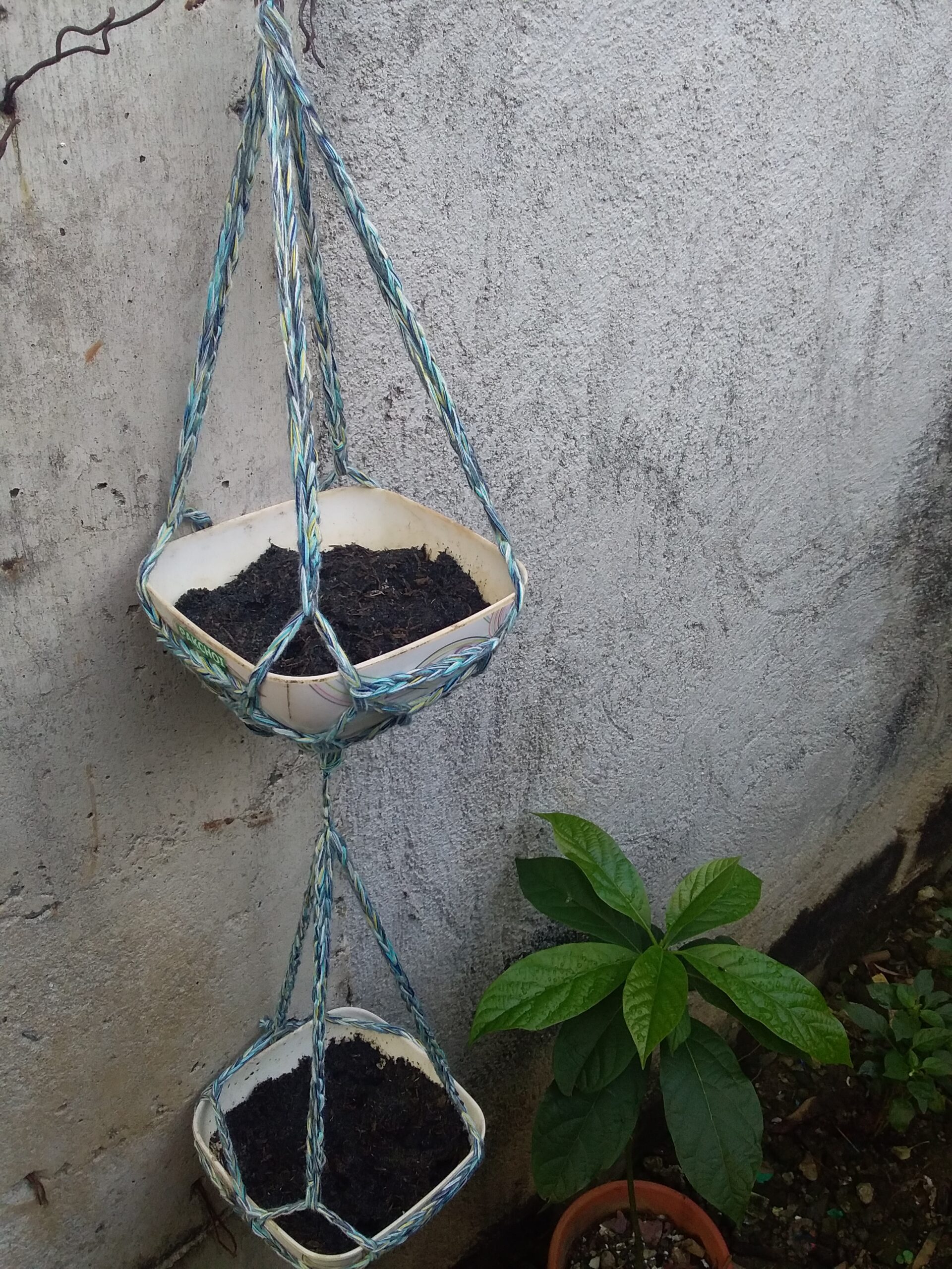 Plant Hangers!